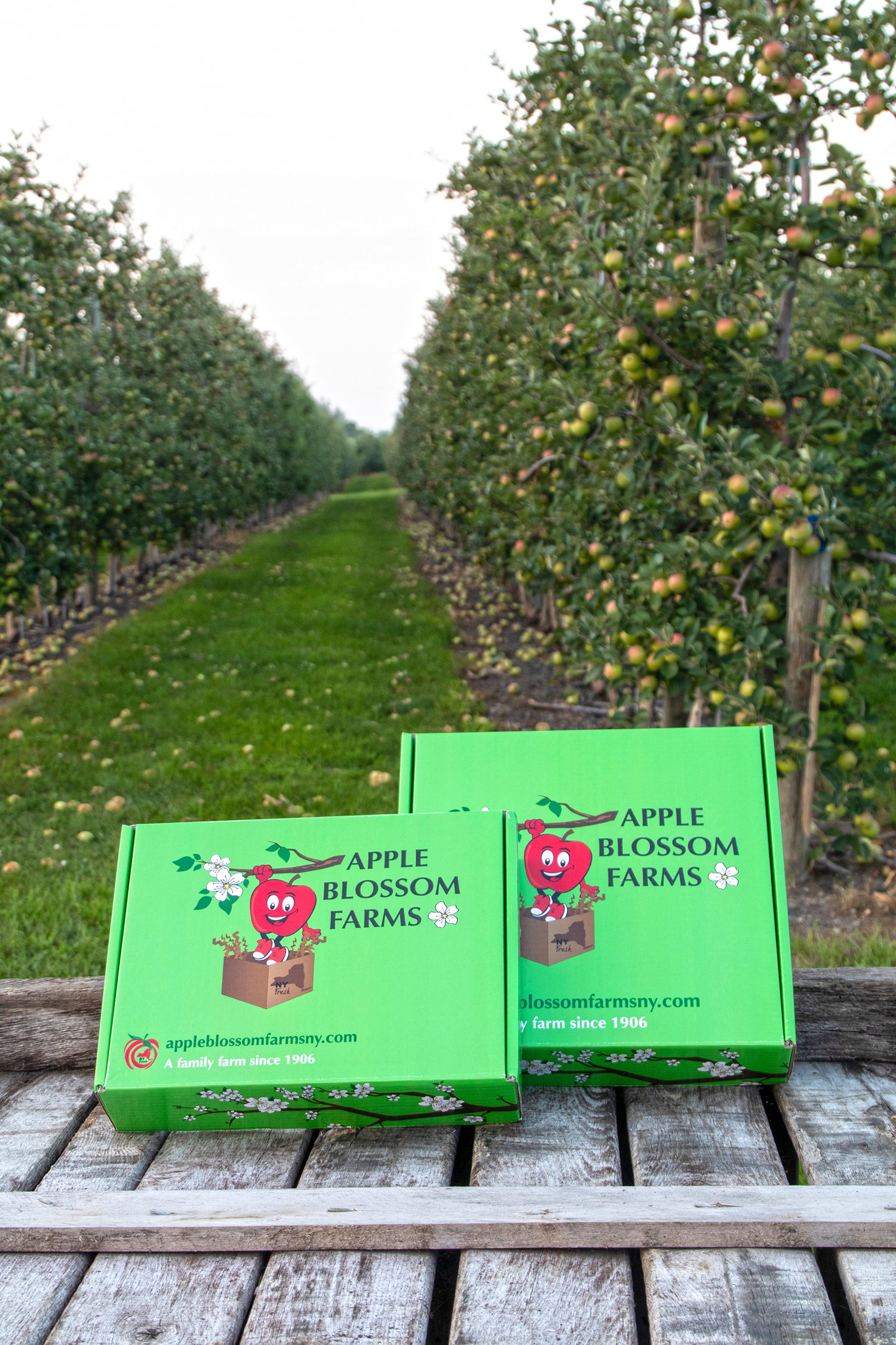 Granny Smith