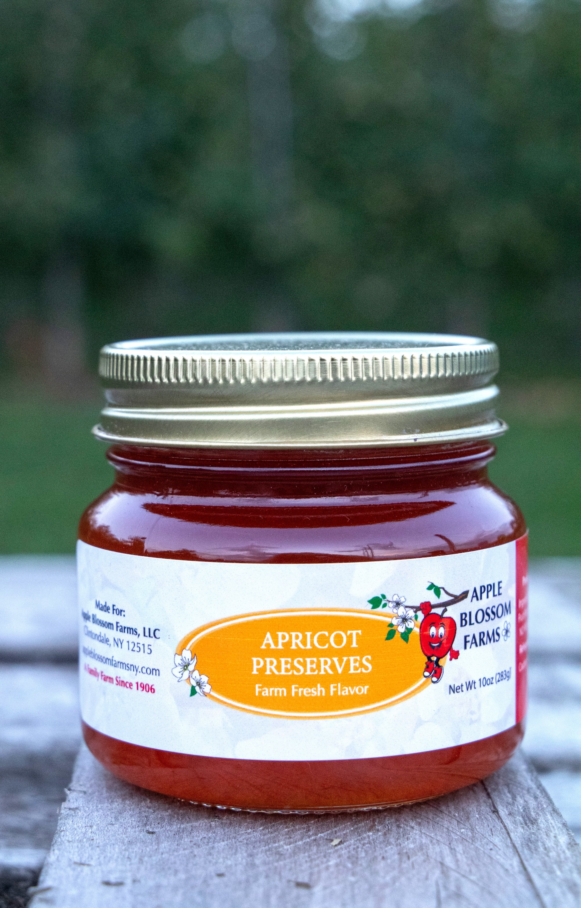 Apricot Preserves