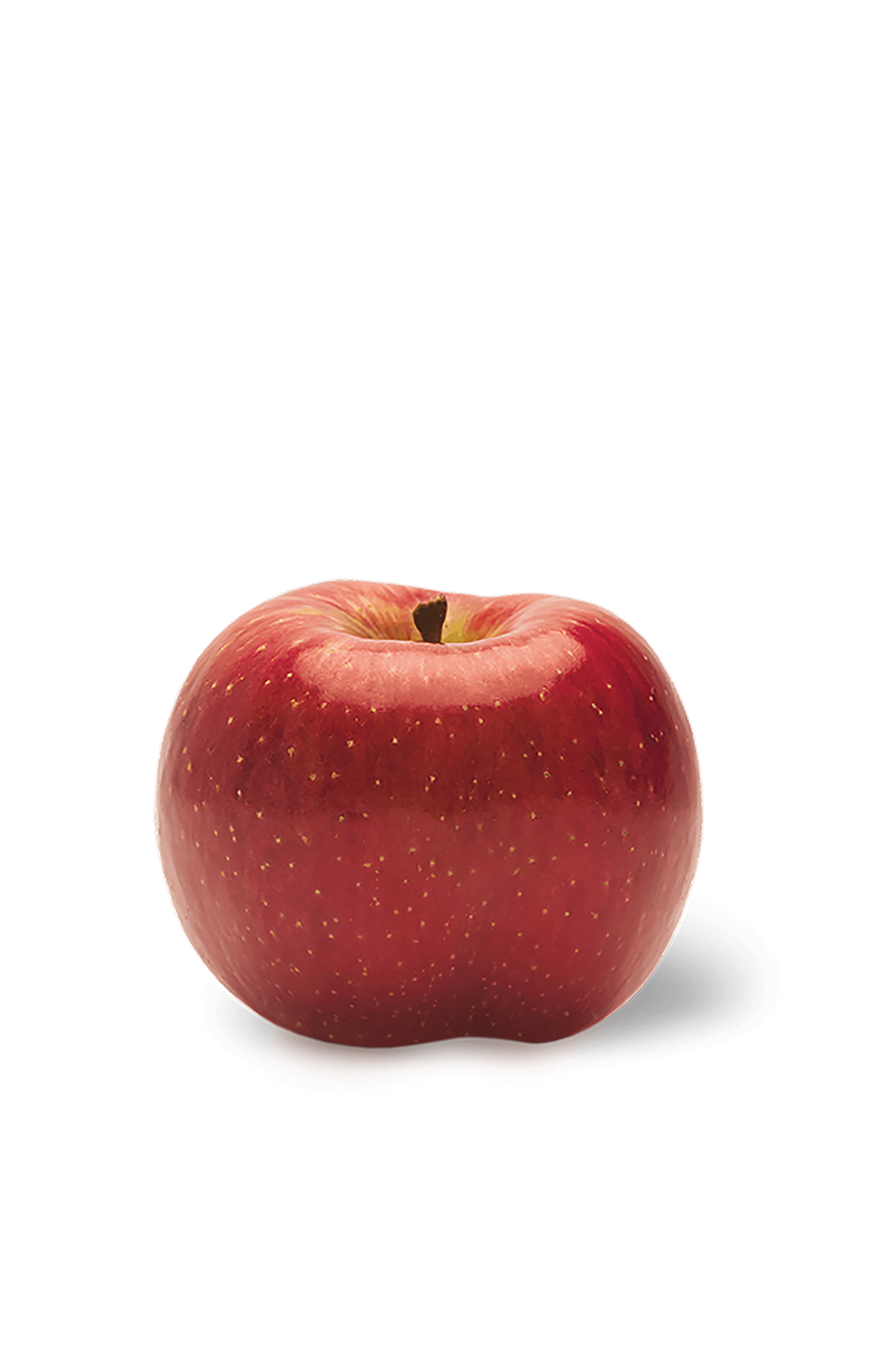 EverCrisp Apple Box | Honeycrisp x Fuji | Apple Blossom Farms