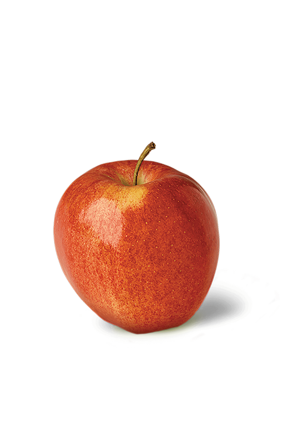 Gala Apple Box | Sweet, Aromatic & Crisp | Apple Blossom Farms