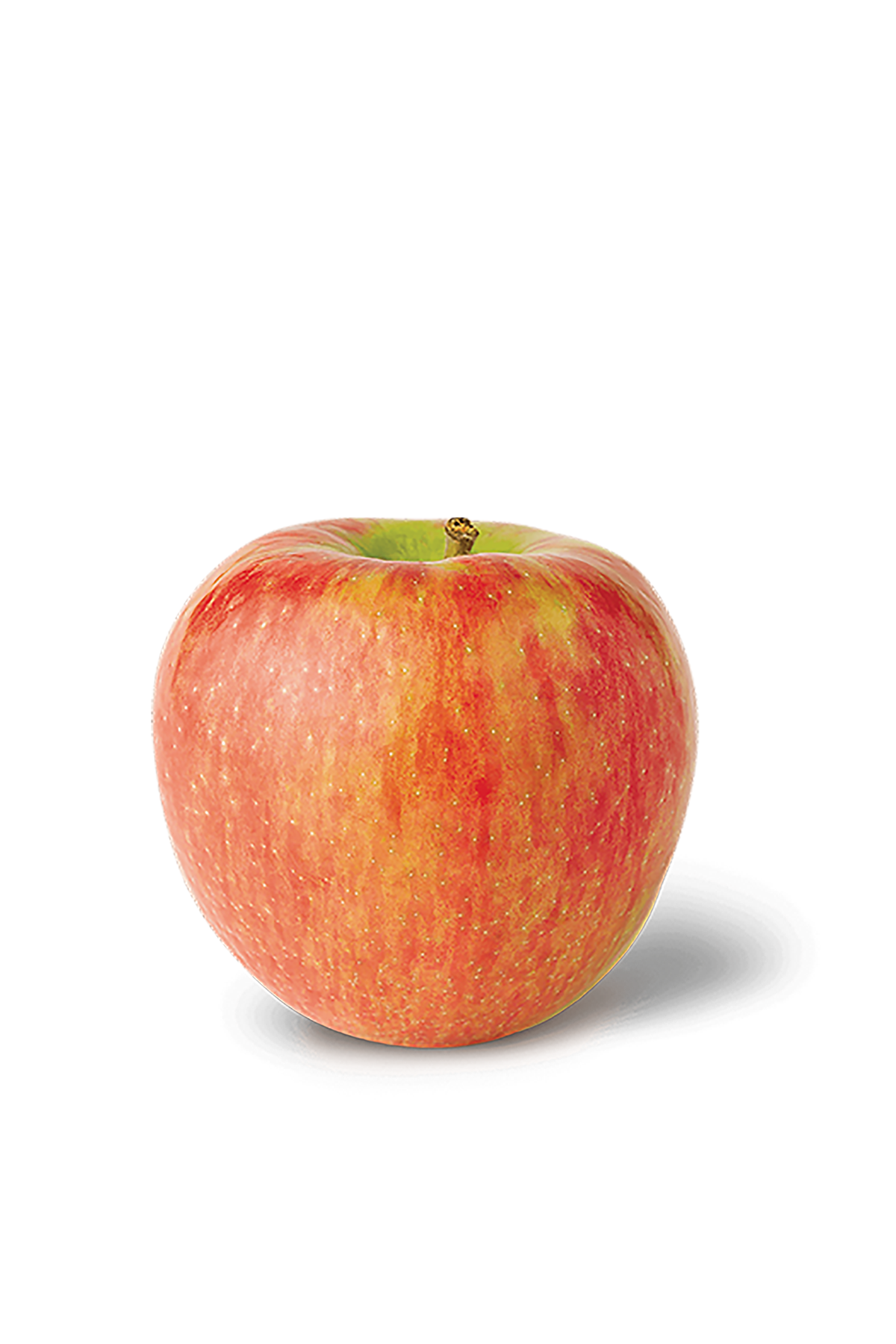 Honeycrisp