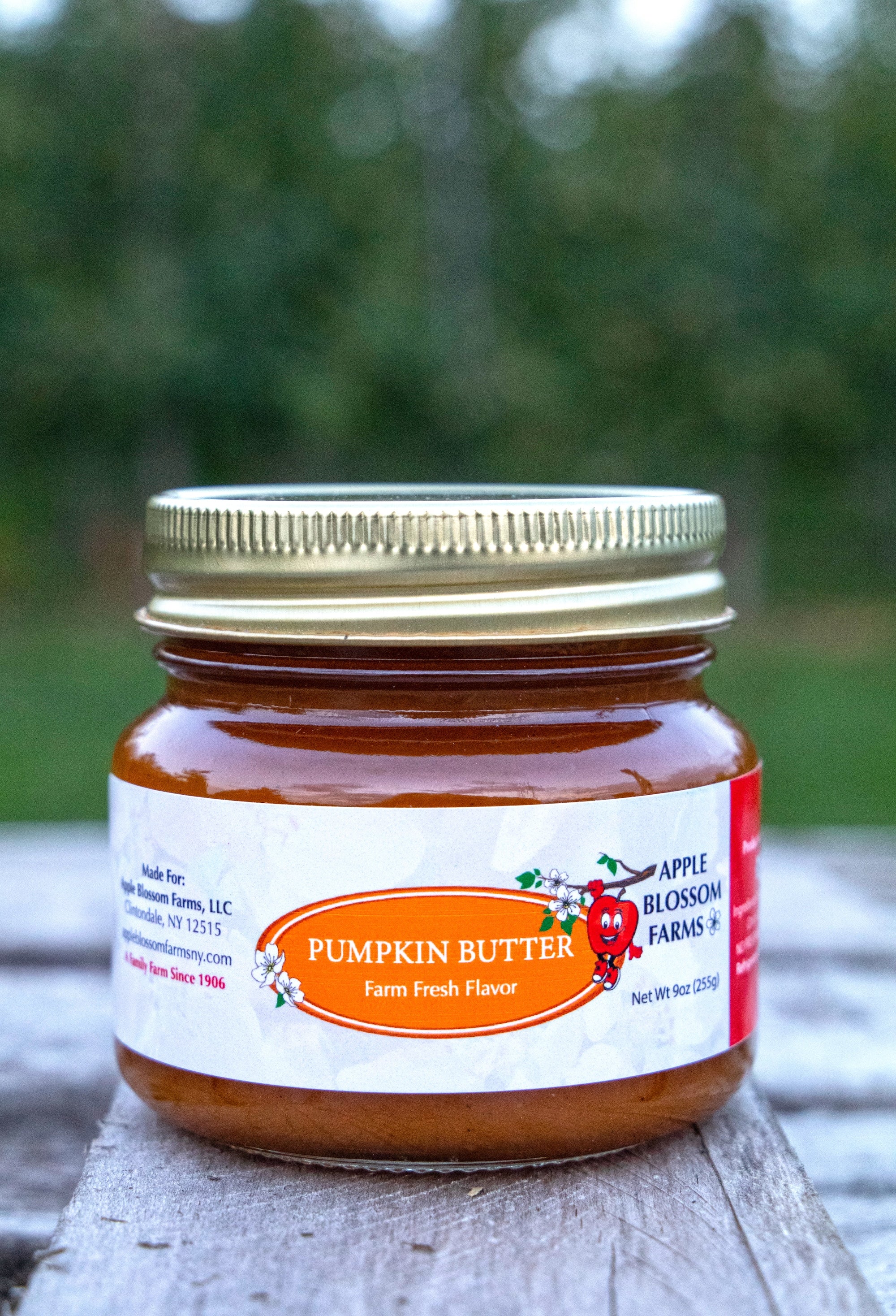 Pumpkin Butter