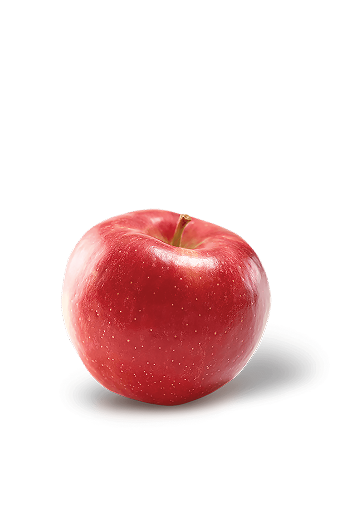 RubyFrost Apple Box | Cornell-Bred New York Apple | Apple Blossom