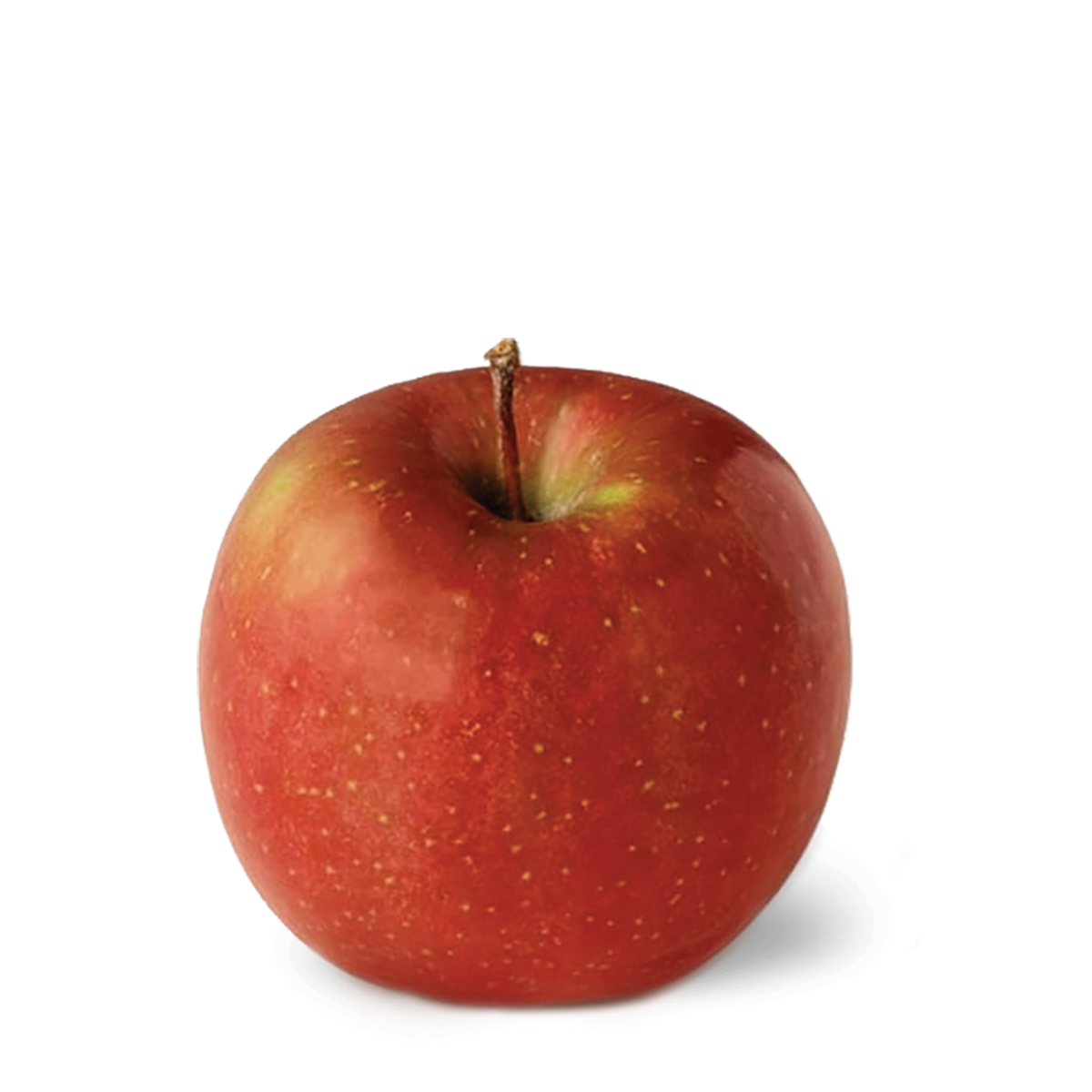★Apple /アップル Fuji Apple Box | Premium Hudson Valley Apples | Apple Blossom Farms