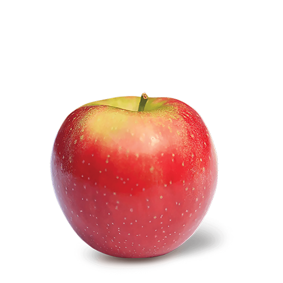 SnapDragon Apple Box | New York-Bred Honeycrisp Descendant | Apple